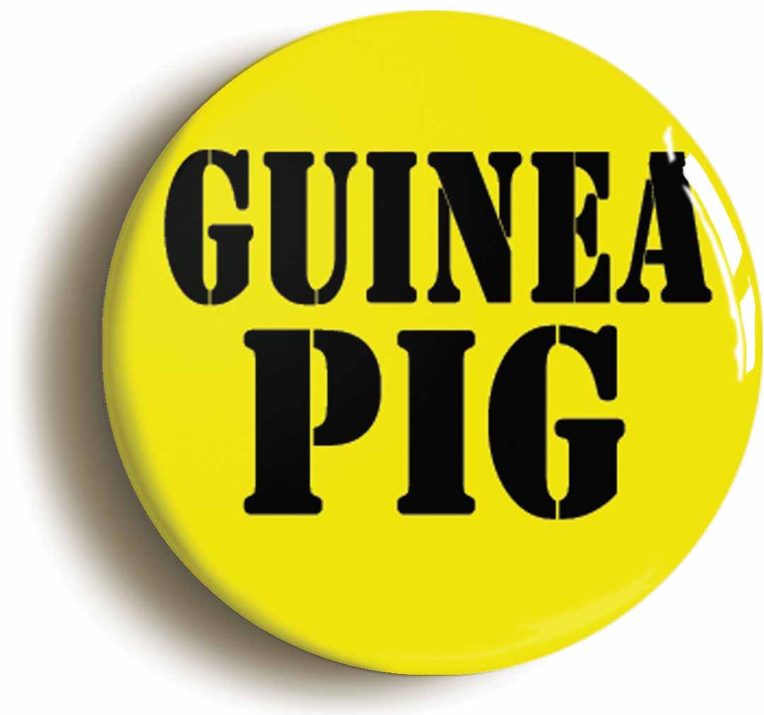 A picture of the front of the product, titled Guinea Pig Funny Joke Button Pin Badge