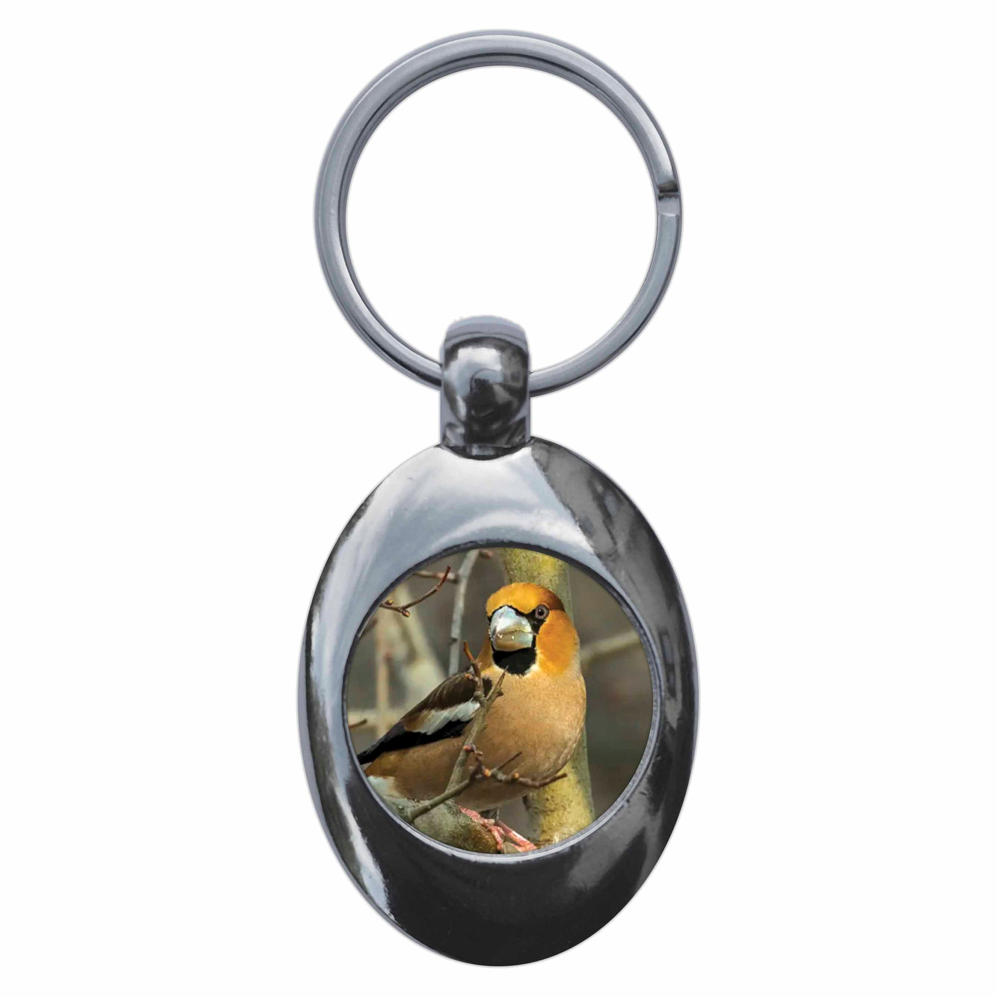 An image of a keyring