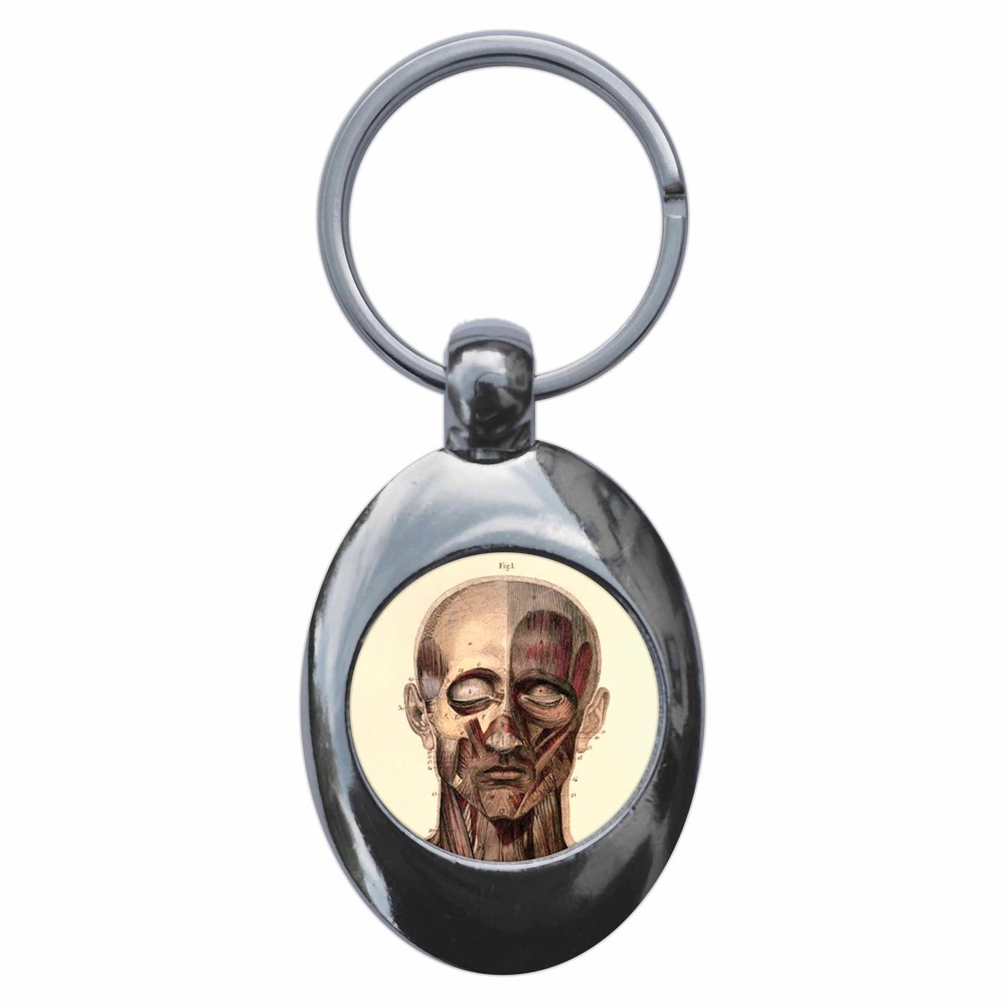 A picture of the front of the product, titled Human Face Anatomy Diagram Metal Keyring With Trolley Coin