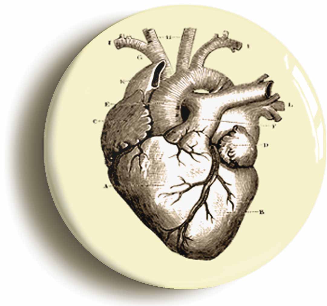 A picture of a button badge