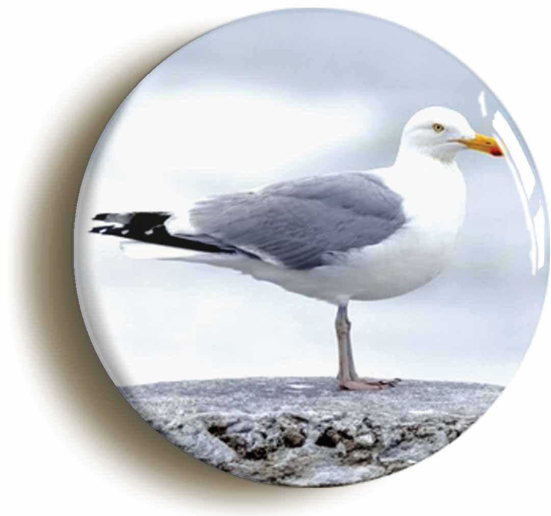 A picture of the front of the product, titled Heron Gull Button Pin Badge