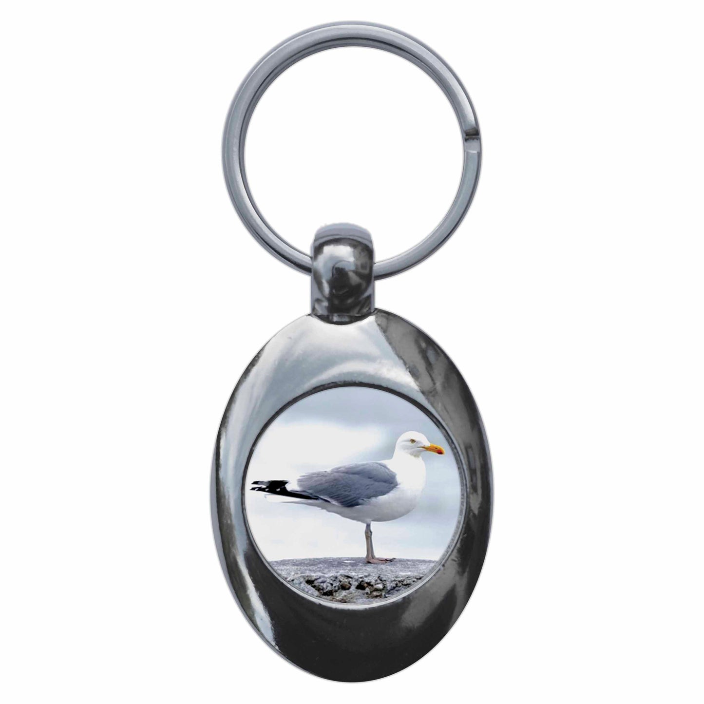 A picture of the front of the product, titled Heron Gull Metal Keyring With Trolley Coin