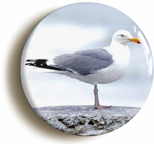A picture of the front of the product, titled Heron Gull Circular 50mm Fridge Magnet