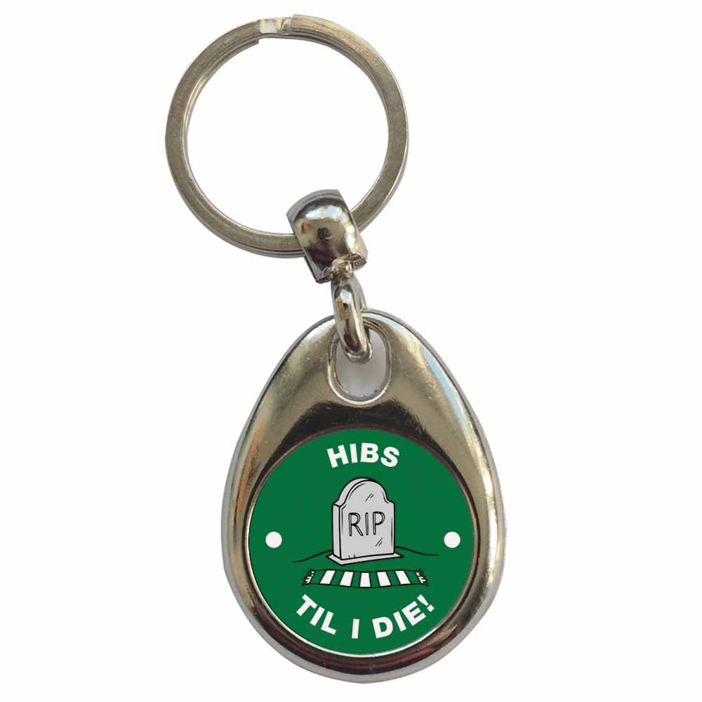 An image of a plain metal keyring