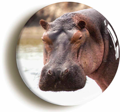 A picture of a button badge