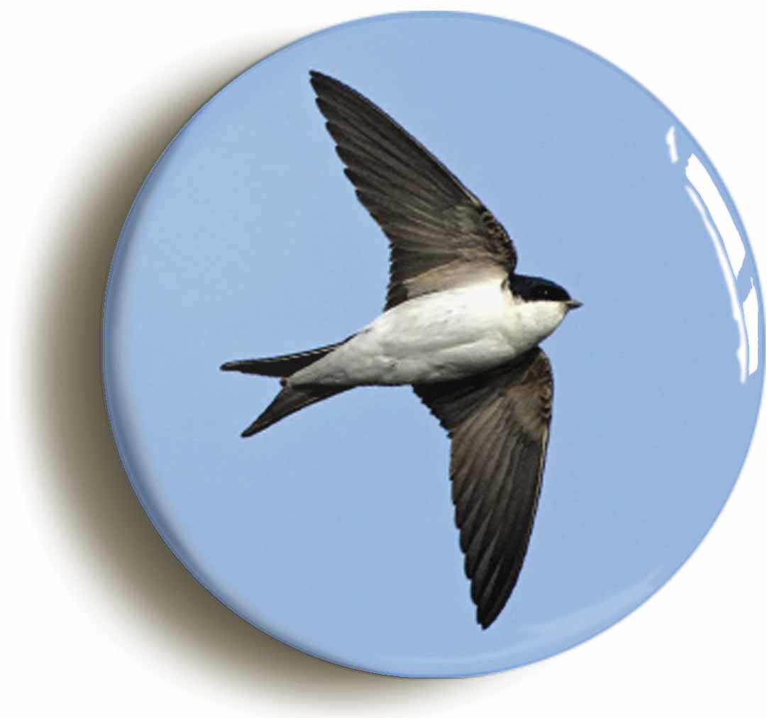 A picture of a button badge