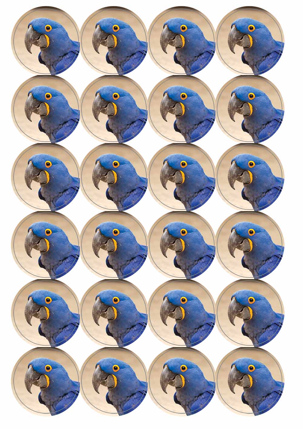 A picture of an A4 sheet of matte paper stickers