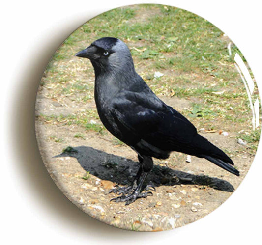 A picture of the front of the product, titled Jackdaw Circular 50mm Fridge Magnet