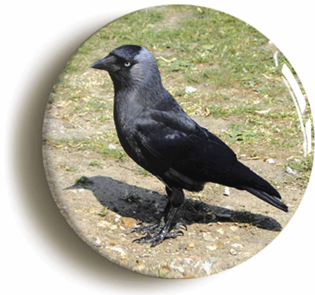 A picture of a button badge