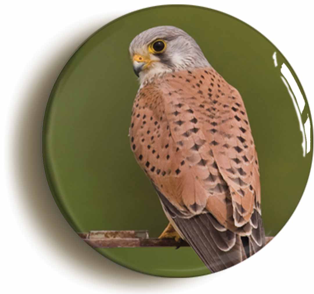 A picture of the front of the product, titled Kestrel Button Pin Badge
