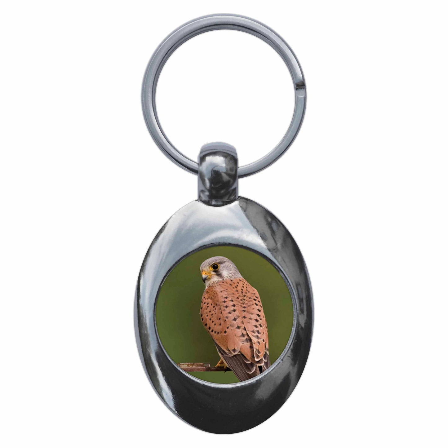 A picture of the front of the product, titled Kestrel Metal Keyring With Trolley Coin