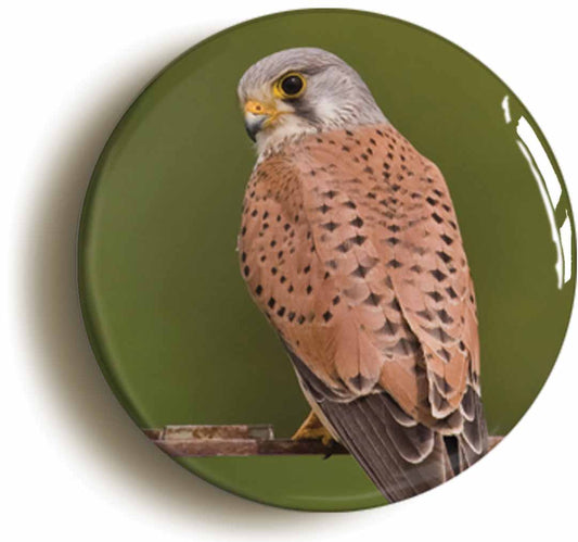 A picture of the front of the product, titled Kestrel Circular 50mm Fridge Magnet