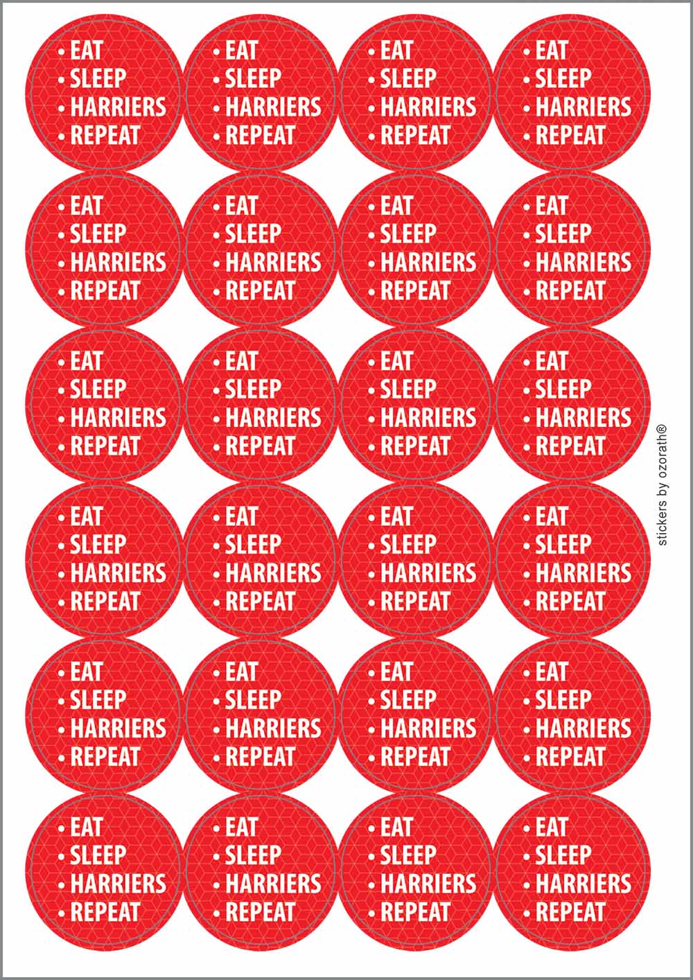 A picture of an A4 sheet of matte paper stickers