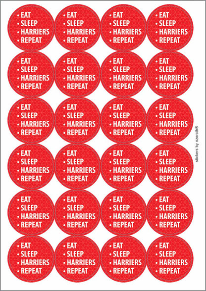 A picture of an A4 sheet of matte paper stickers