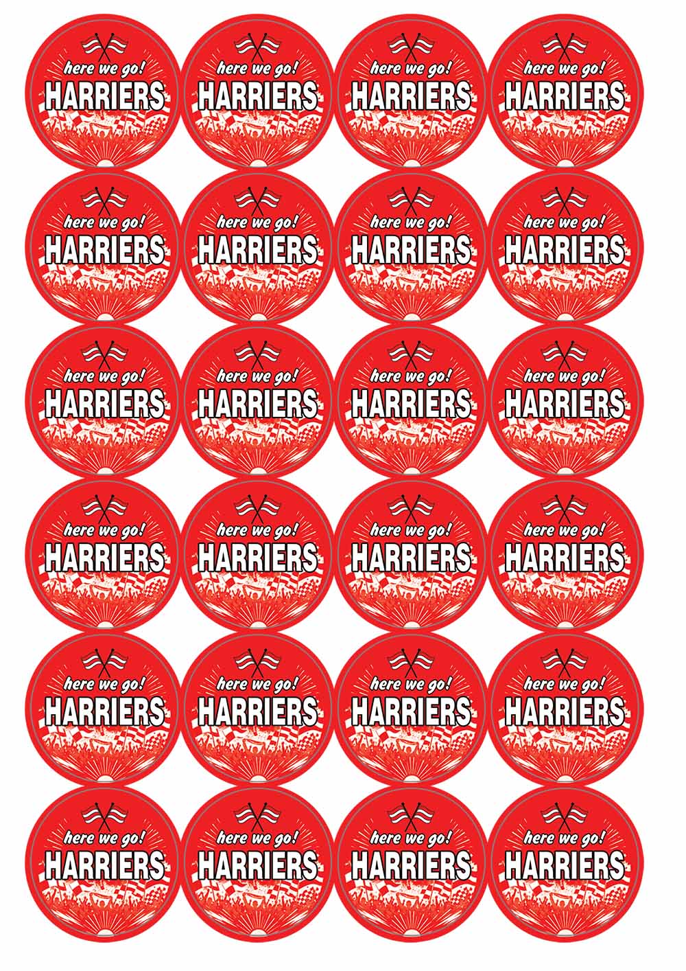 A picture of an A4 sheet of matte paper stickers