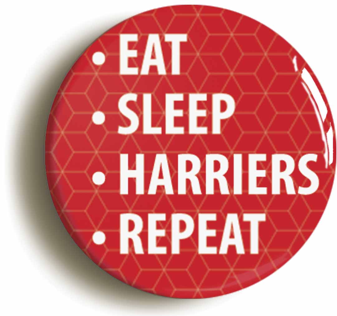 A picture of a button badge