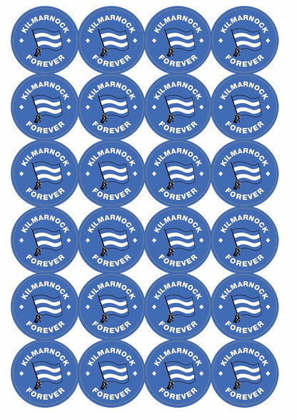 A picture of an A4 sheet of matte paper stickers