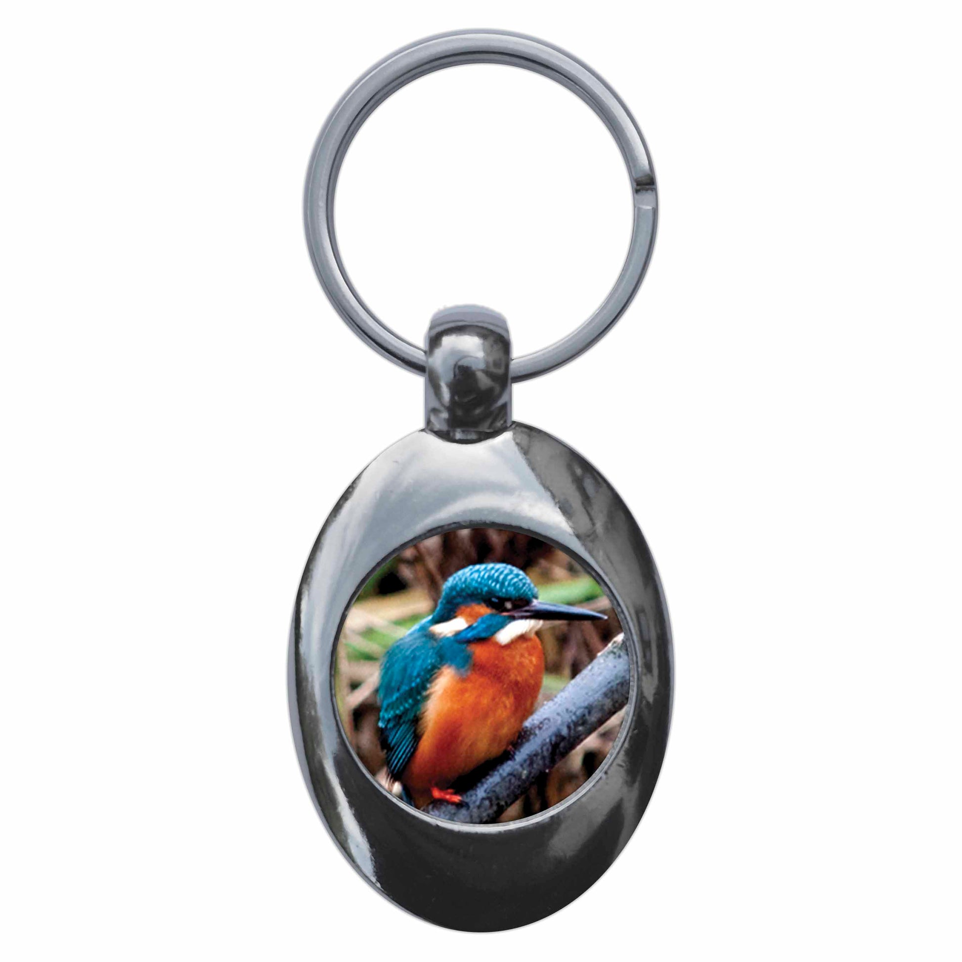 A picture of the front of the product, titled Kingfisher Metal Keyring With Trolley Coin