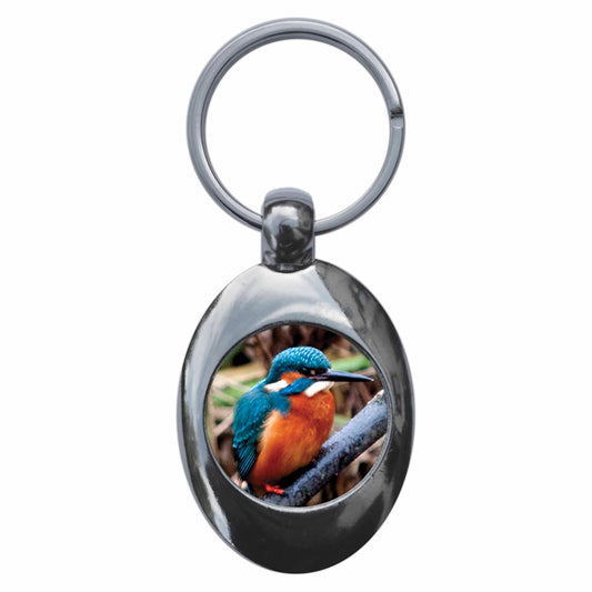 A picture of the front of the product, titled Kingfisher Metal Keyring With Trolley Coin