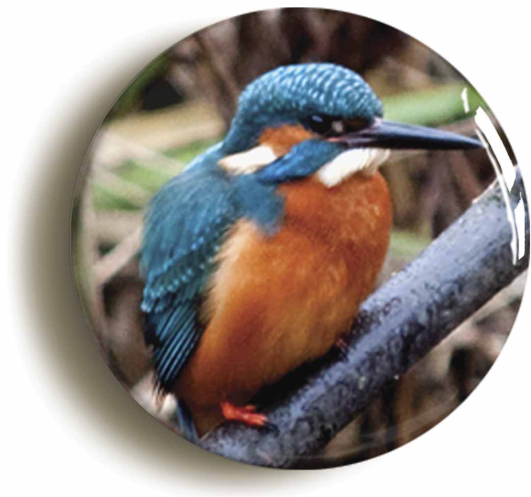 A picture of a fridge magnet