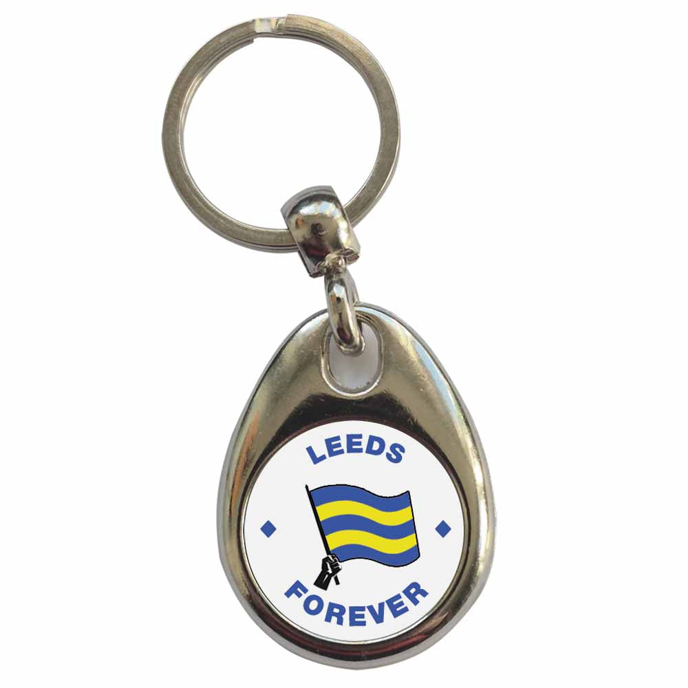 An image of a plain metal keyring