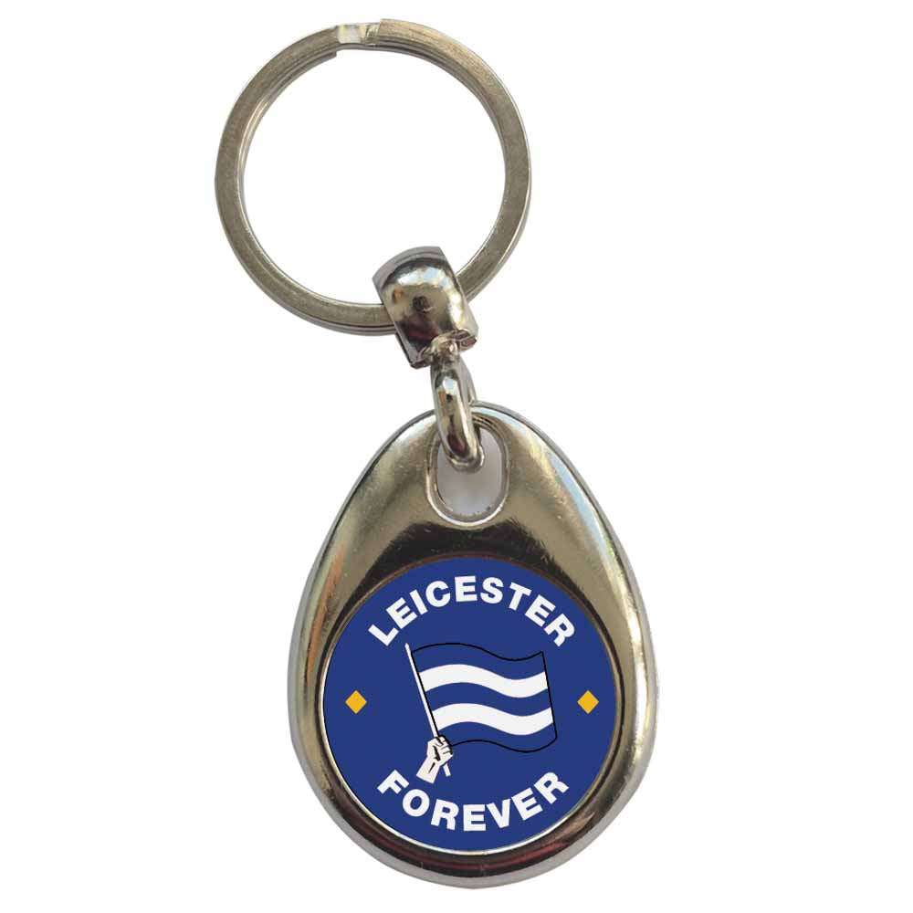 An image of a plain metal keyring