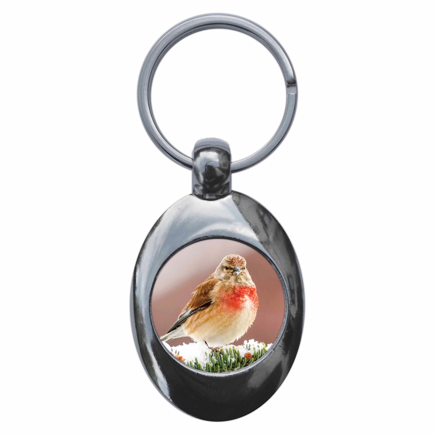 An image of a keyring