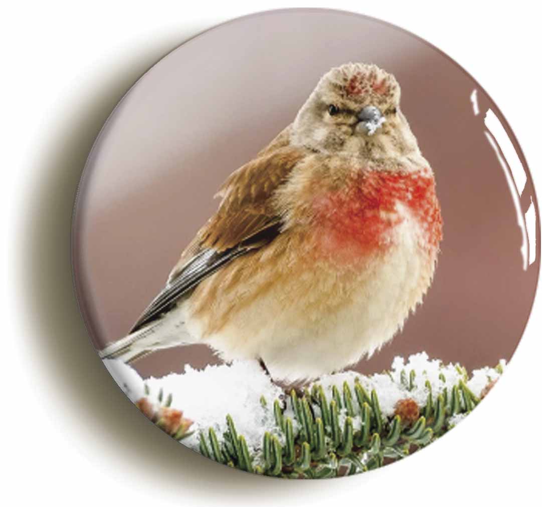A picture of a fridge magnet