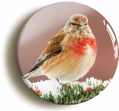 A picture of a fridge magnet