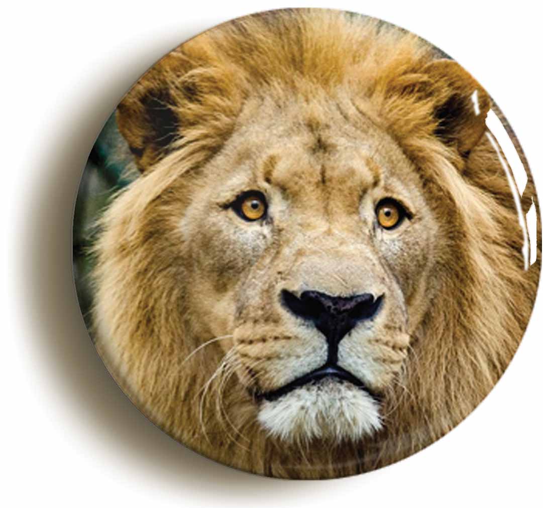 A picture of the front of the product, titled Lion Circular 50mm Fridge Magnet