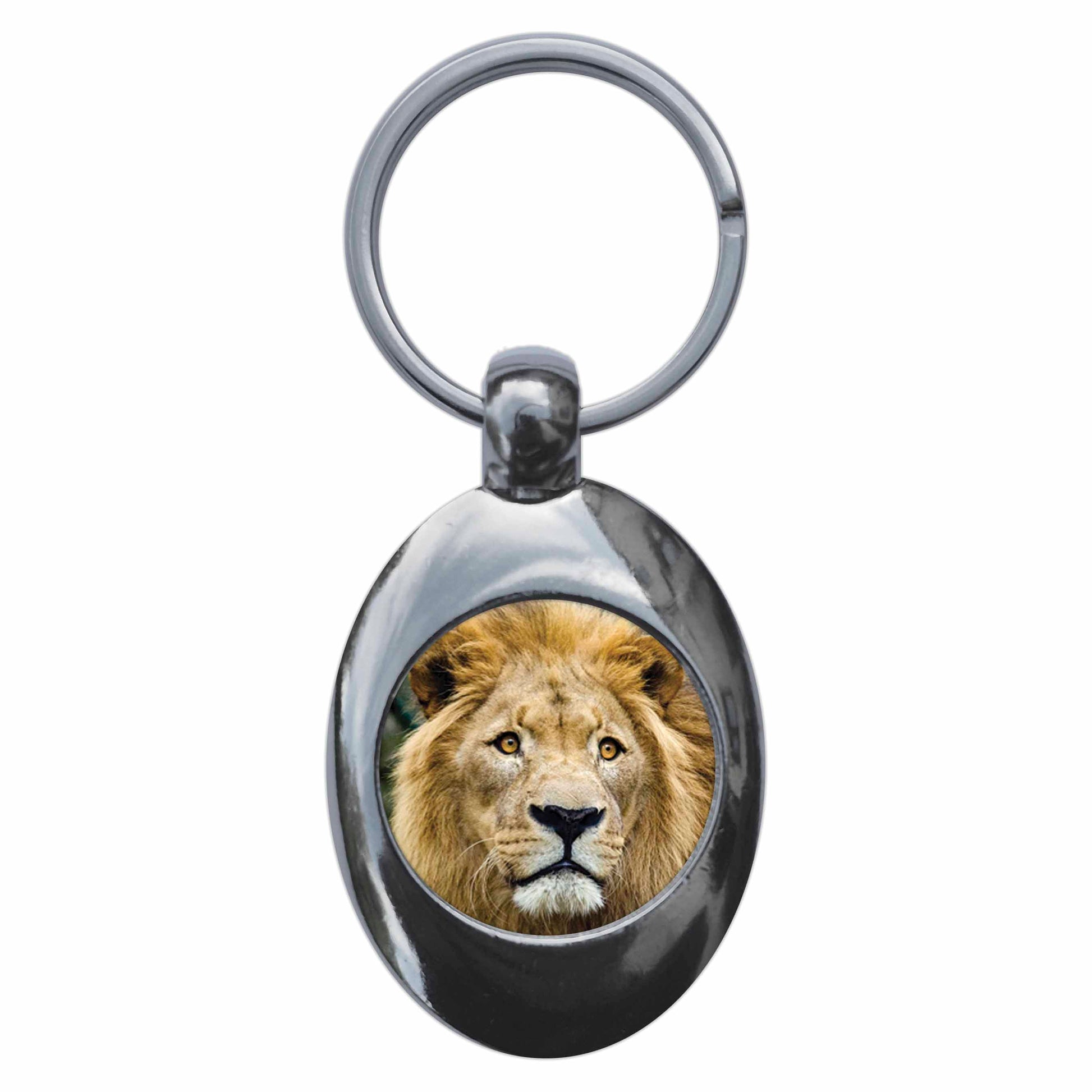 A picture of the front of the product, titled Lion Metal Keyring With Trolley Coin