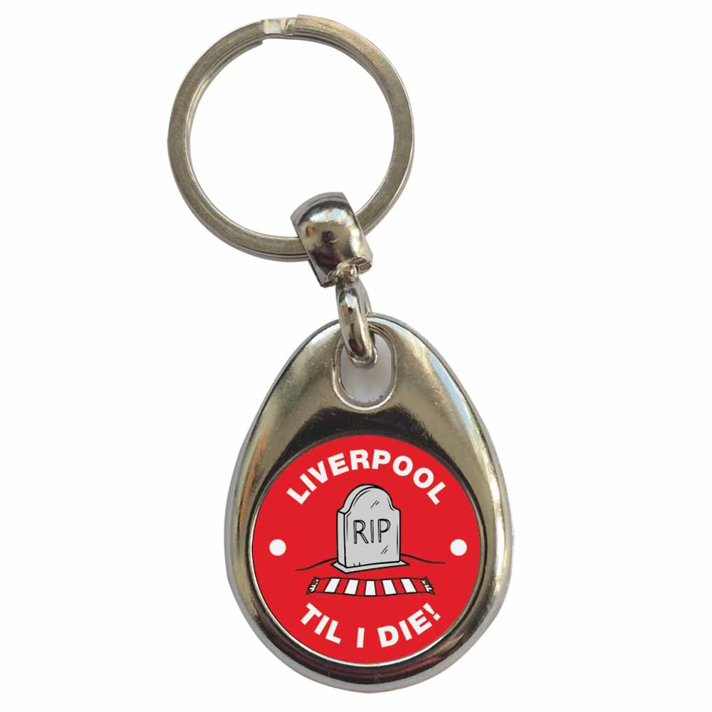 An image of a plain metal keyring
