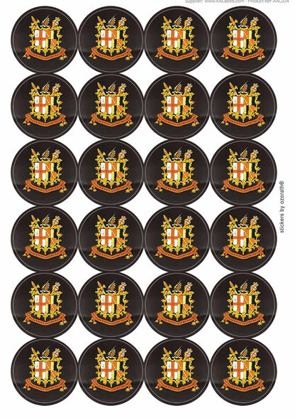 A picture of an A4 sheet of matte paper stickers