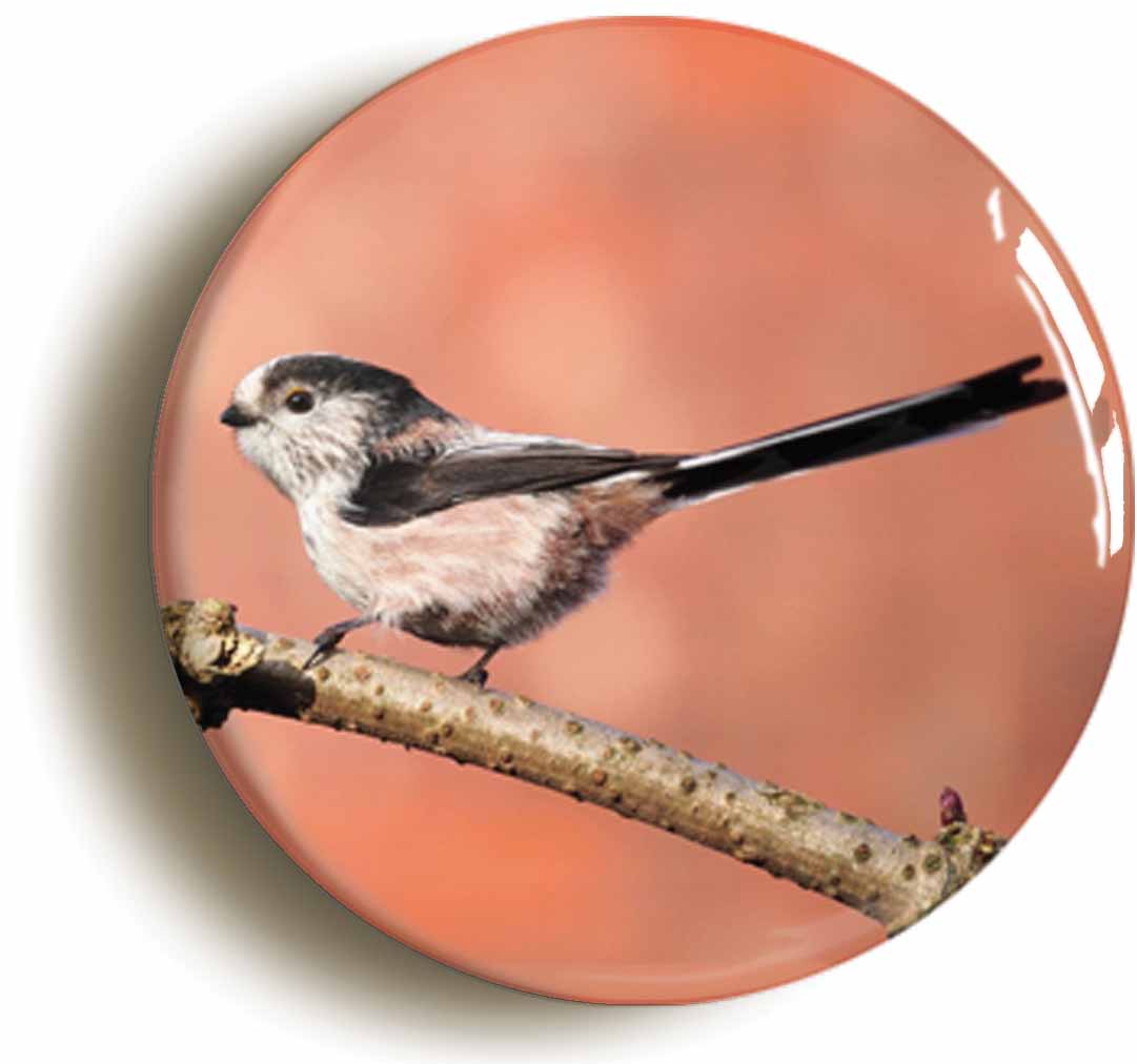 A picture of the front of the product, titled Long Tailed Tit Button Pin Badge