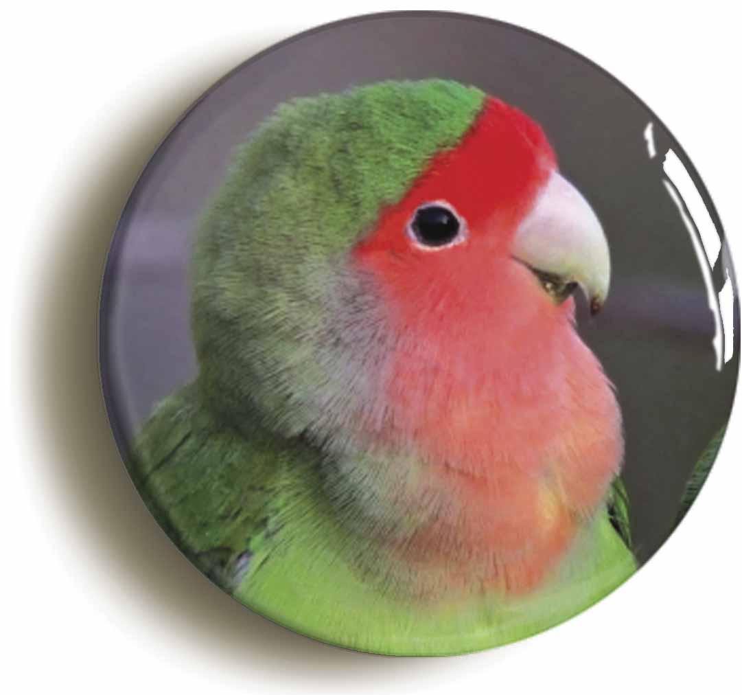 A picture of a fridge magnet