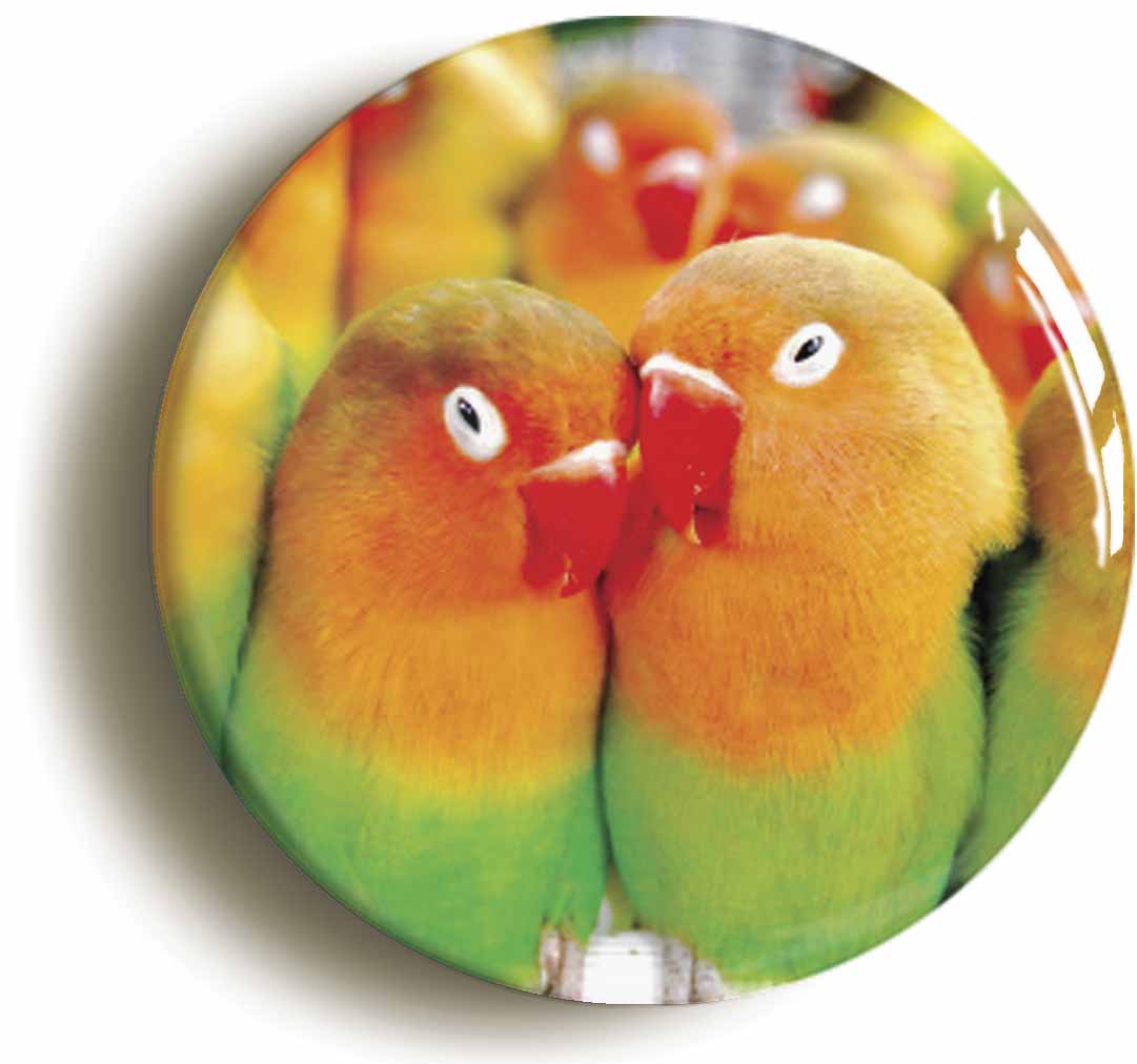 A picture of a fridge magnet