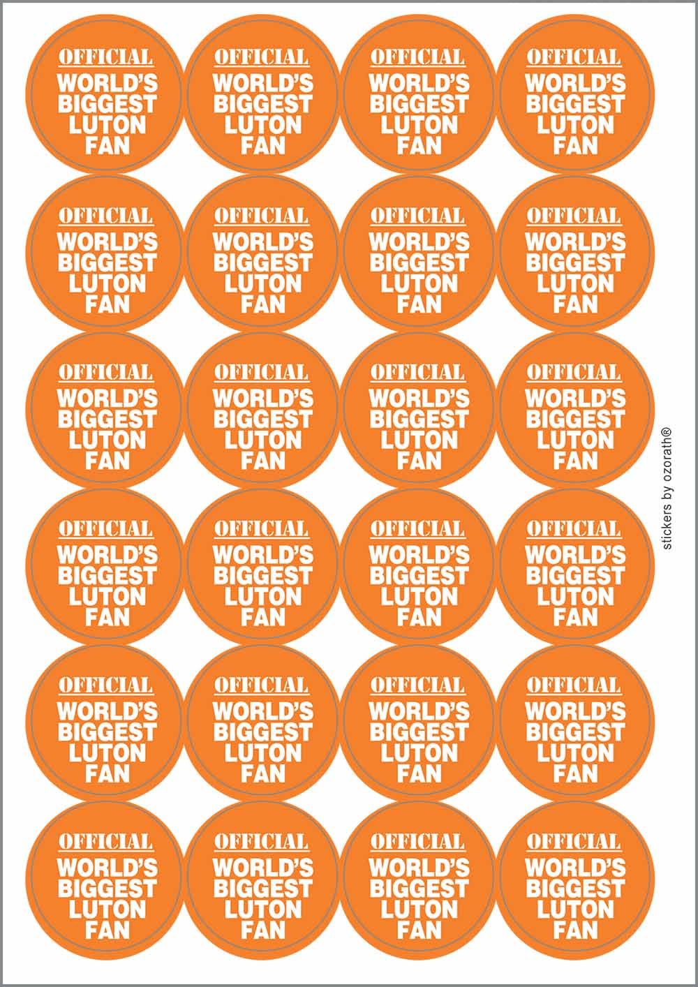 A picture of an A4 sheet of matte paper stickers