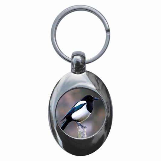 A picture of the front of the product, titled Magpie Metal Keyring With Trolley Coin