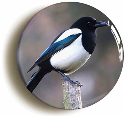 A picture of a fridge magnet