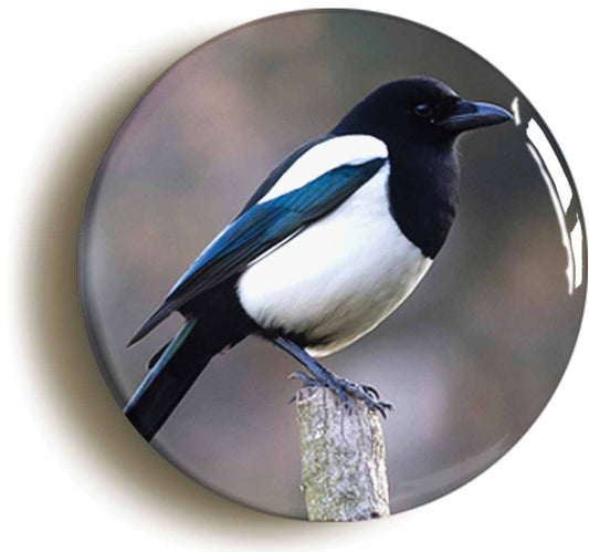 A picture of the front of the product, titled Magpie Button Pin Badge