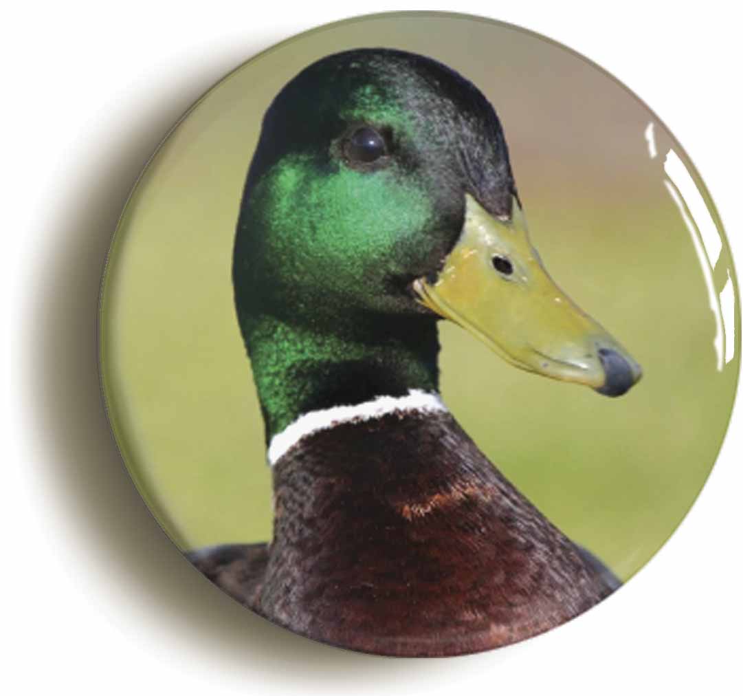 A picture of a button badge
