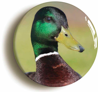 A picture of a button badge