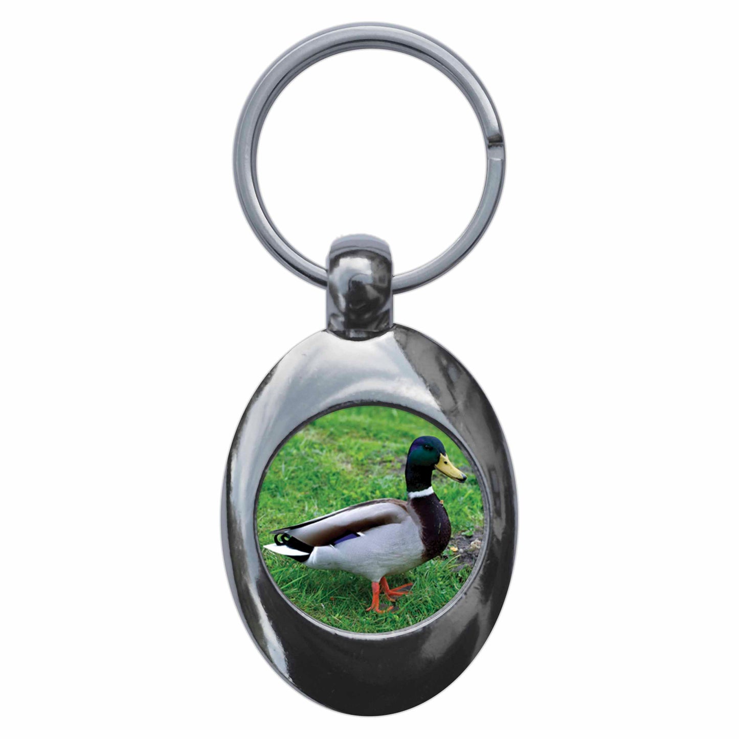 A picture of the front of the product, titled Mallard Duck Metal Keyring With Trolley Coin