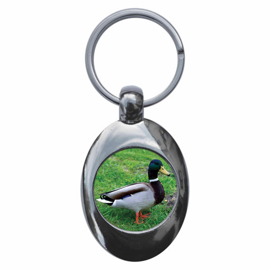 A picture of the front of the product, titled Mallard Duck Metal Keyring With Trolley Coin
