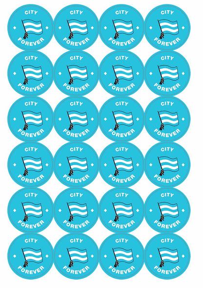 A picture of an A4 sheet of matte paper stickers