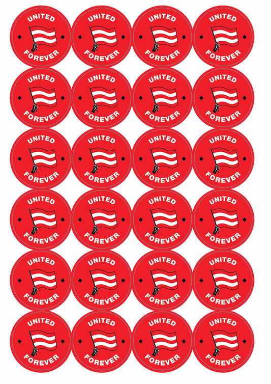 A picture of an A4 sheet of matte paper stickers