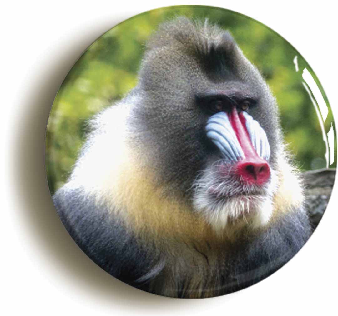 A picture of a button badge