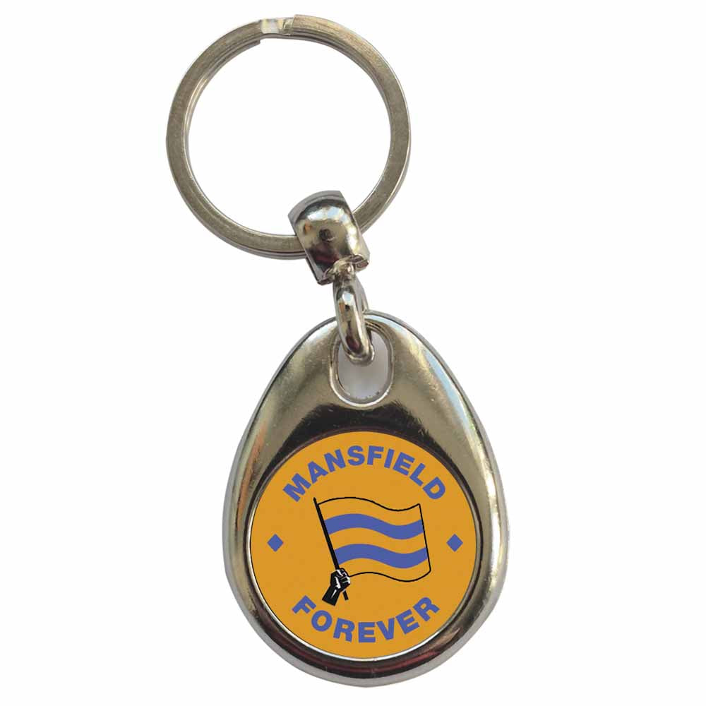 An image of a plain metal keyring