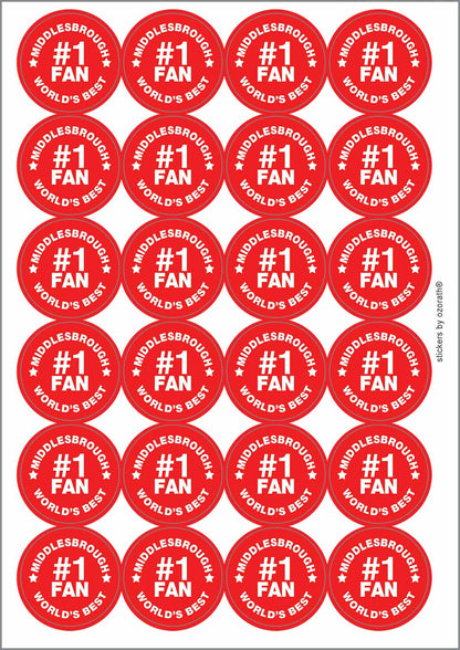 A picture of an A4 sheet of matte paper stickers
