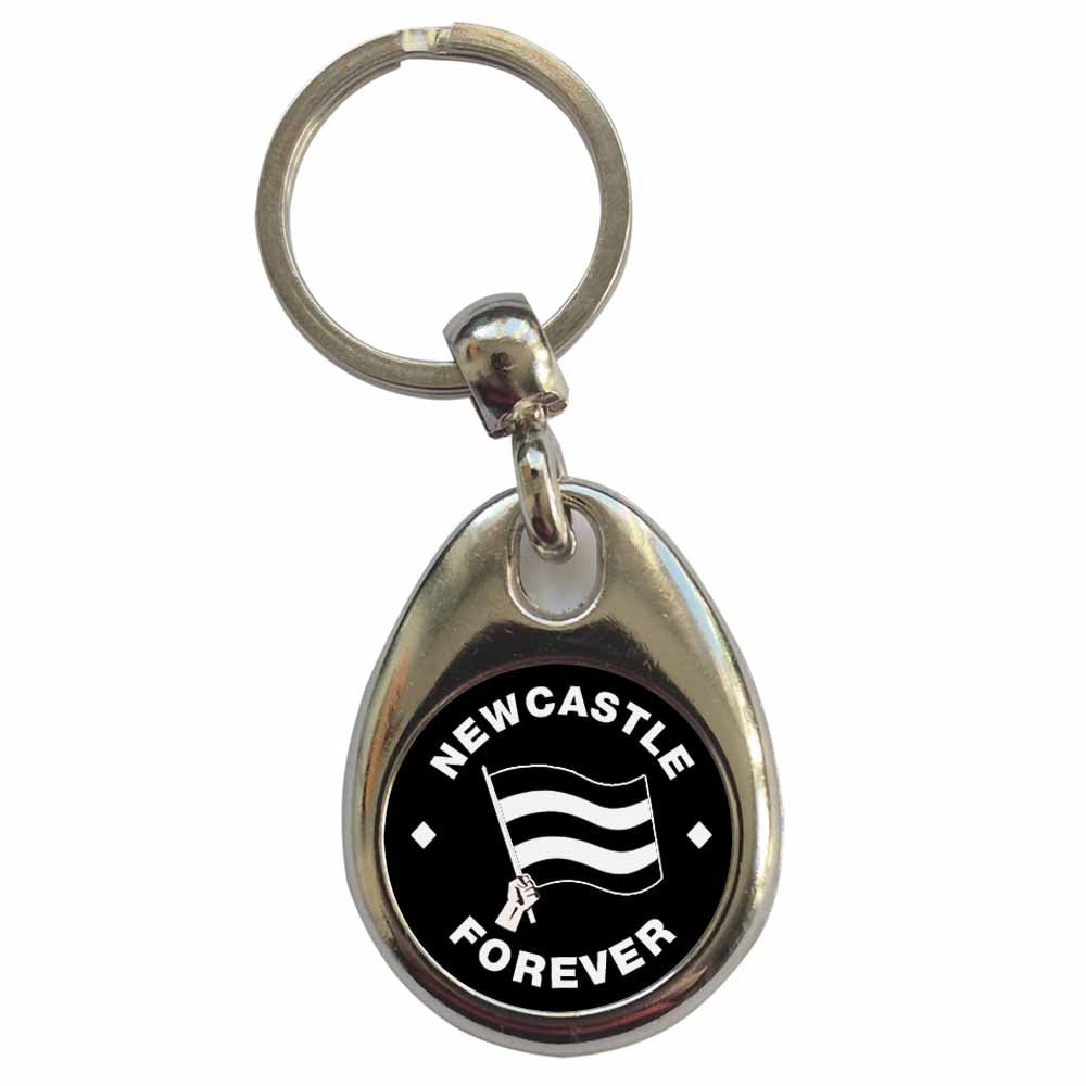 An image of a plain metal keyring